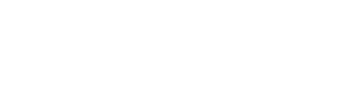 Partner logo 20