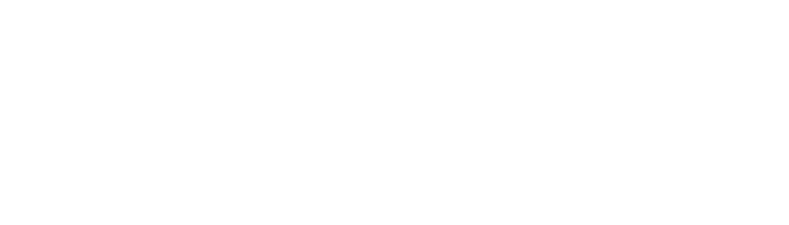 Partner logo 3