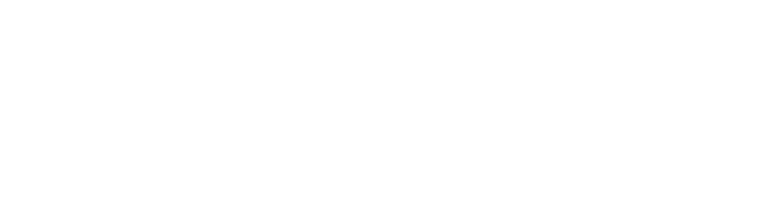 Partner logo 8