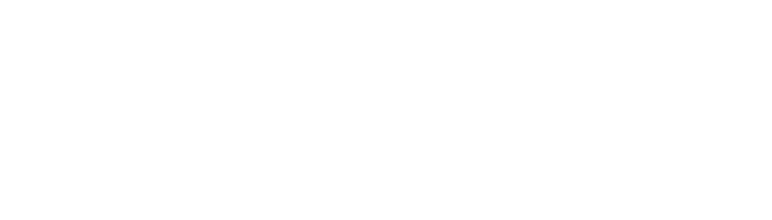 Partner logo 21