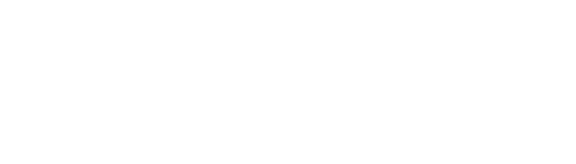 Partner logo 34